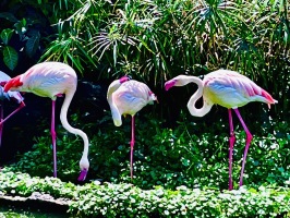 動物園我來了:IMG_8299