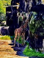 動物園我來了:IMG_8303