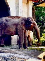 動物園我來了:IMG_8304